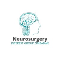 Neurosurgery Interest Group Zimbabwe (NIGZ) logo - Similar company to Podmyth