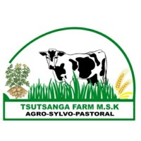 TSUTSANGA FARM/msk logo - Similar company to Agricodeexpo Rdc 🇨🇩