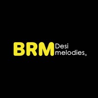 BRM Digital Distribution Services Pvt. Ltd. logo - Similar company to Viprojects