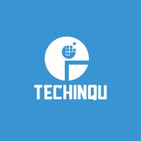 Techinqu Solutions OPC PVT LTD. logo - Similar company to Concentrics Dev
