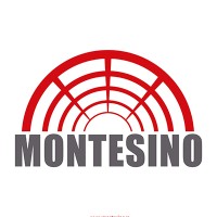 Montesino doo logo - Similar company to Metaling