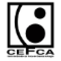 Centro de Estudios de Física del Cosmos de Aragón (CEFCA) logo - Similar company to Teegarden Engineering S.R.L.