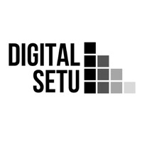 Digital Setu logo - Similar company to Digital Setu Pvt Ltd