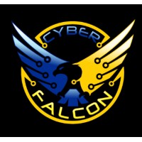 CyberFalcon logo - Similar company to Gold, Weems, Bruser, Sues & Rundell, A.P.L.C.