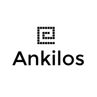 Ankilos logo - Similar company to Wireit