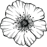 Alberta Youth Parliament logo - Similar company to Youth Restorative Action Project (Yrap)