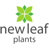 New Leaf Plants Ltd. logo - Similar company to Windowflowers Ltd