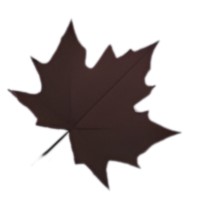 Maple Group logo - Similar company to Startupdeck.Io