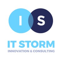 IT STORM Consulting logo - Similar company to Estima