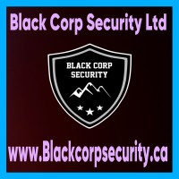 Black Corp Security Ltd (BCS) logo - Similar company to Expert Security