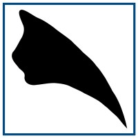 Dinoframe logo - Similar company to Bellacosa Mainframe