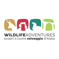 Wildlife Adventures logo - Similar company to Oofi Studio