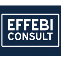 EFFEBI CONSULT logo - Similar company to 360 Welfare