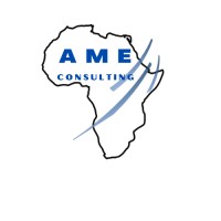 Ame Consulting