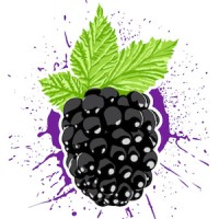 Boysenberry Electrophysics logo - Similar company to Coconut Helpers