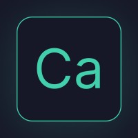 Capture logo - Similar company to Sallandelectronics