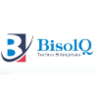 BisolQ Software Services logo - Similar company to Thinkpower Technologies Pvt. Ltd
