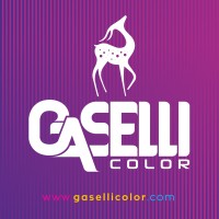 Gaselli Yapı Teknolojileri San. ve Dış Tic. Ltd. Şti. logo - Similar company to Dinc Design