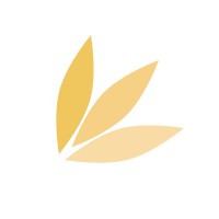 Spring Studio logo - Similar company to Spring Studio