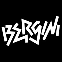 Studio Bergini logo - Similar company to De Ronners