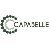 Capabelle AB logo - Similar company to Daana