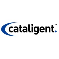 Cataligent Project Pvt Ltd. logo - Similar company to Qualifyed