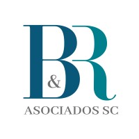 BR Latam logo - Similar company to Auditores Internos 502