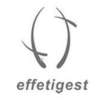 Effeti Gest logo - Similar company to Telami