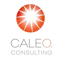 Caleo Consulting logo - Similar company to Caleo