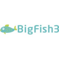 BigFish3 logo - Similar company to Rebellious Events Ltd