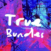 True Bundles is an online market place full of amaizing graphic design assets for busy designers. logo - Similar company to Maraysha Marilyn Graphic Design