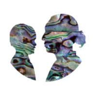 Family Success Matters logo - Similar company to Gillson Sciences