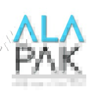 ALAPAK Ambalaj logo - Similar company to Detapak Ambalaj