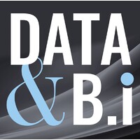 Data & BI logo - Similar company to Data Inco