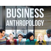 Business Anthropology Community logo - Similar company to Templix