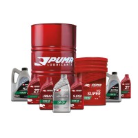 LOGISTICA SUR logo - Similar company to Logistica Integral Rossi Srl