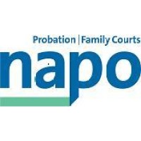 Napo Trade Union and Professional Association logo - Similar company to Napo Virtual Chapter