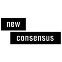 New Consensus logo - Similar company to Coderspace