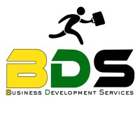 Business Development Services - Egypt logo - Similar company to Business Development Platform