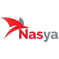 NasyaIT logo - Similar company to Teamotely