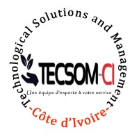 TECSOM-CI SARL logo - Similar company to Lysint