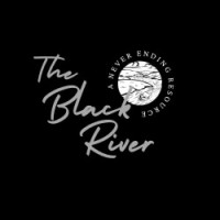 The Black River, LLC logo - Similar company to George Media