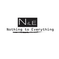 Nile Tech Inc logo - Similar company to Niletech Ltd