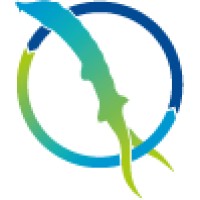 Jumeaux Numériques du Fleuve logo - Similar company to Cheops Medium Power