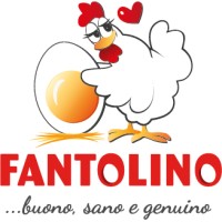 FANTOLINO logo - Similar company to Designtech