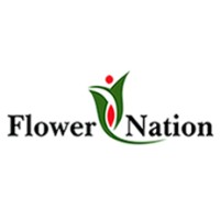 Flower Nation logo - Similar company to Octoflor