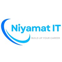 Niyamat IT logo - Similar company to Bytenyx Limited