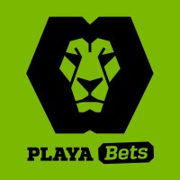 Playa Bets logo - Similar company to Bets