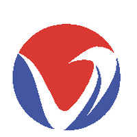 Vasculonics logo - Similar company to Teichos Laboratories, Llc