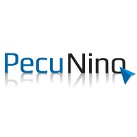 Pecu Nino Group logo - Similar company to Zeus Computer Sprl